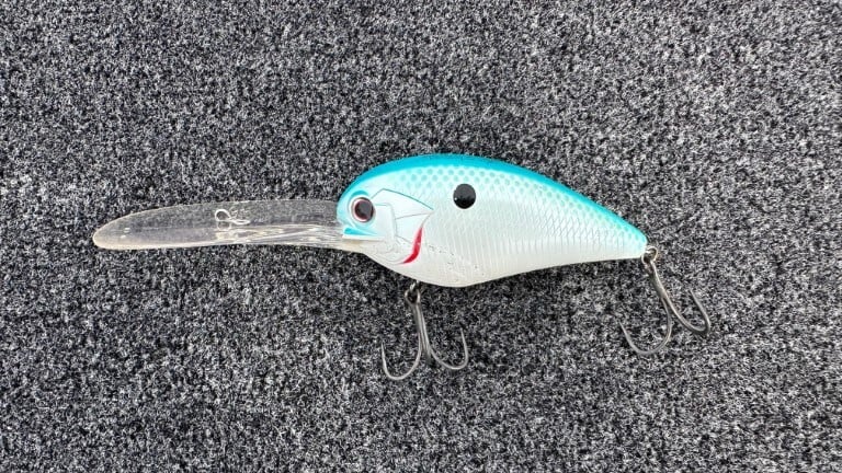 本場アメリカの「夏のバス釣り」【現地で戦うトッププロ・深江真一の